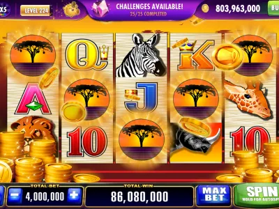 Stake Casino Nigeria User Wallet